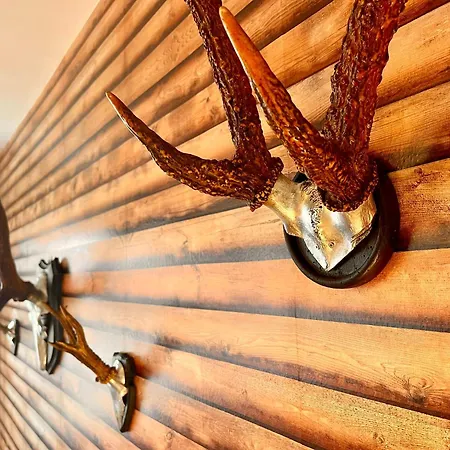 Homelikestay: - - Wlan - Bestlage - Liebevolle Einrichtung Apartament *