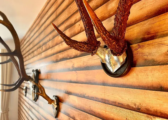 Homelikestay: - - Wlan - Bestlage - Liebevolle Einrichtung Апартаменты *