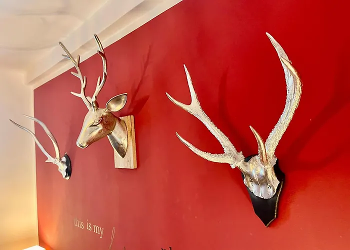 Homelikestay: - - Wlan - Bestlage - Liebevolle Einrichtung * Вернигероде